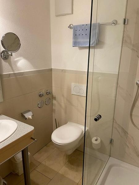 Hotel Goldener Loewe 金茨堡 外观 照片