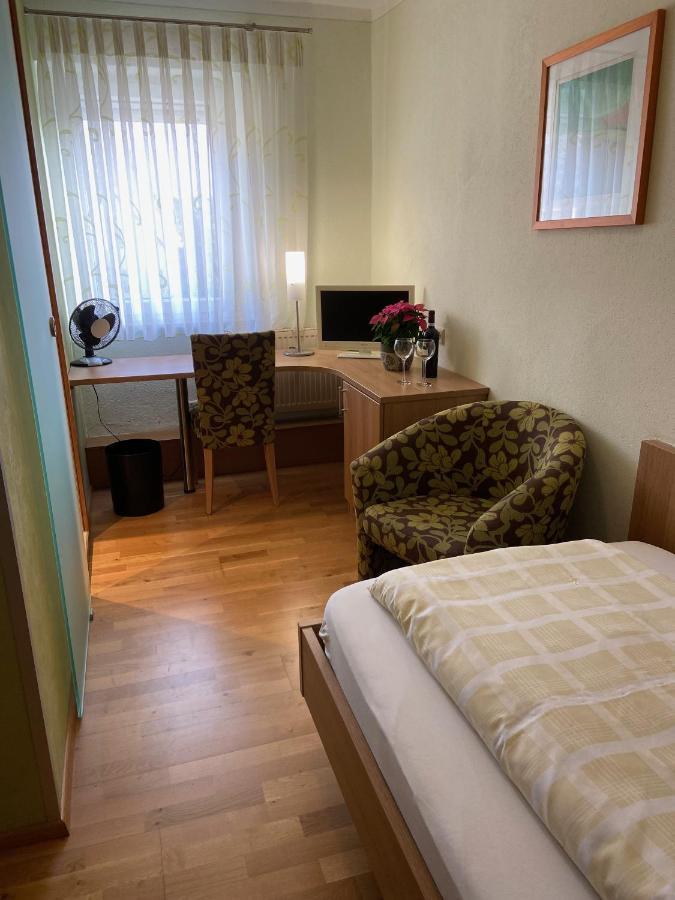 Hotel Goldener Loewe 金茨堡 外观 照片