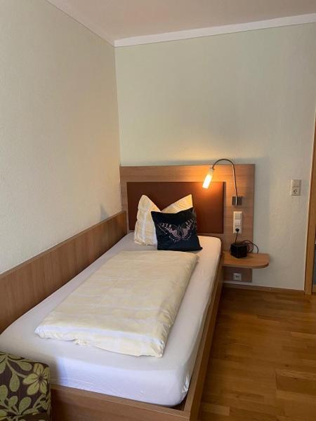 Hotel Goldener Loewe 金茨堡 外观 照片