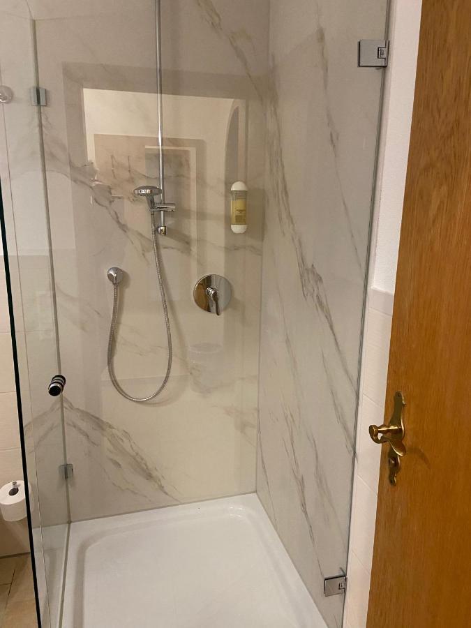 Hotel Goldener Loewe 金茨堡 外观 照片
