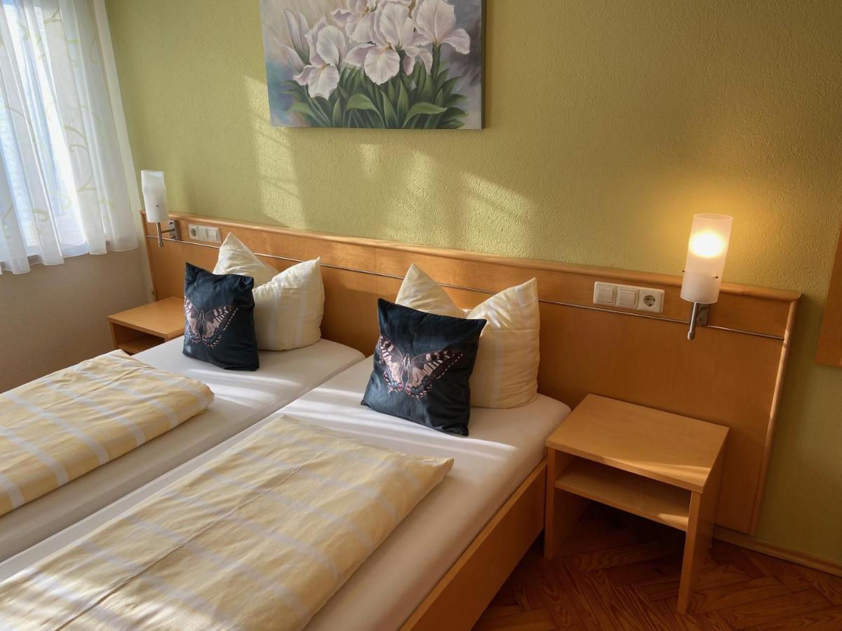 Hotel Goldener Loewe 金茨堡 外观 照片