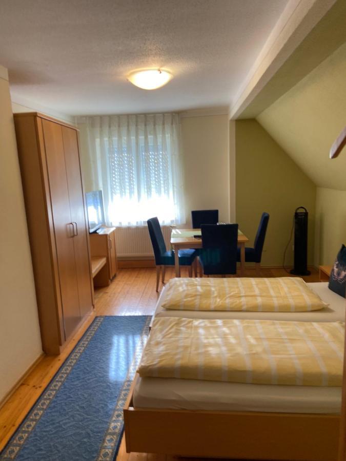 Hotel Goldener Loewe 金茨堡 外观 照片