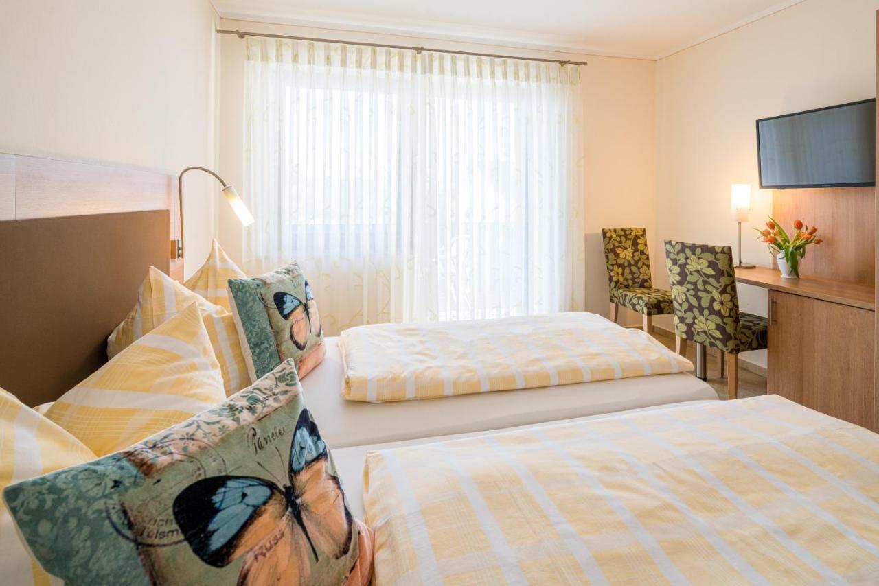 Hotel Goldener Loewe 金茨堡 外观 照片