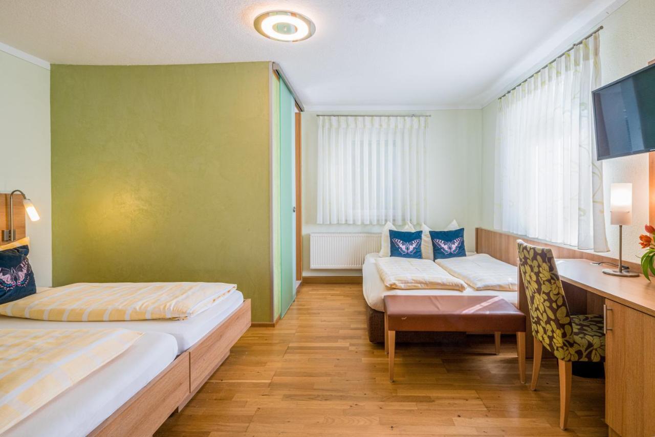 Hotel Goldener Loewe 金茨堡 外观 照片