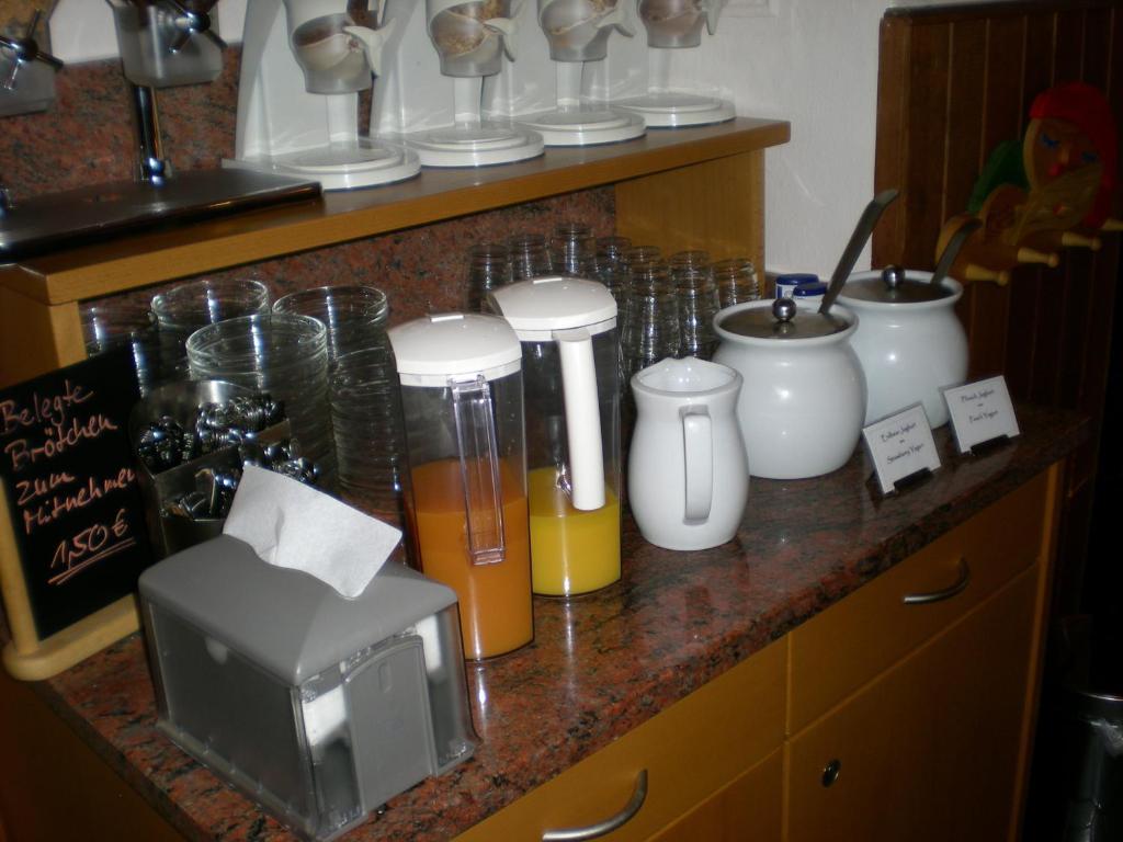 Hotel Goldener Loewe 金茨堡 外观 照片
